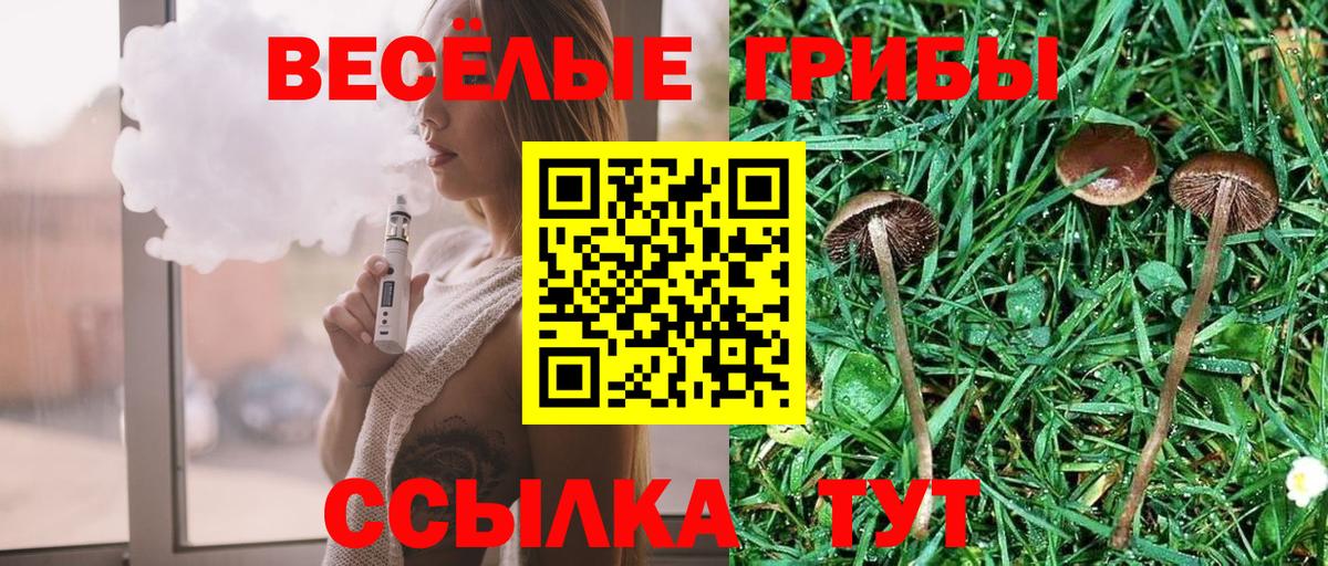 Галлюциногенные грибы GOLDEN TEACHER Рязань