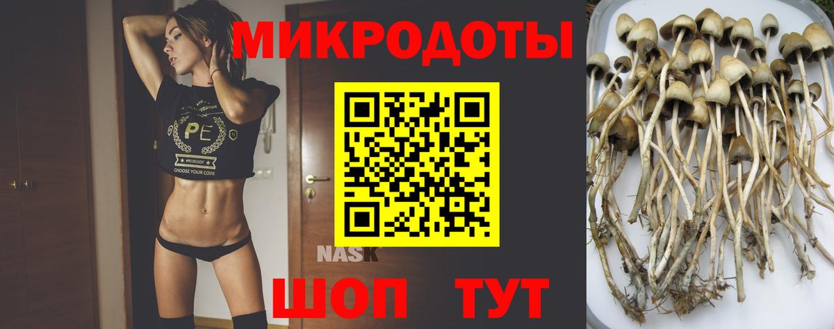 Галлюциногенные грибы Psilocybine cubensis  Вход с VPN  купить закладку  Рязань 